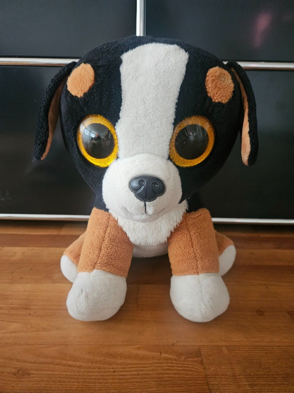 Ty Spielzeuge: Plüschhund gross – Gebraucht aus Jona von Rorain